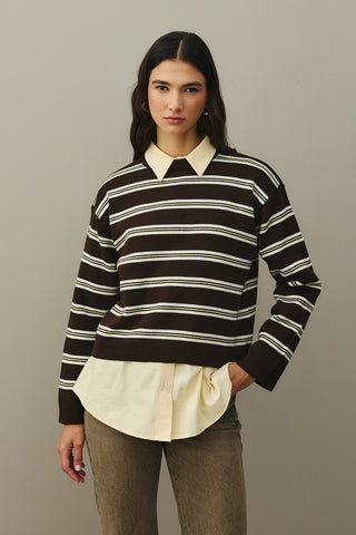 Striped Basic Knit Sweater Brown